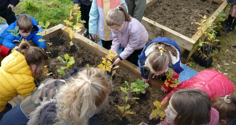 Curriculum Subjects